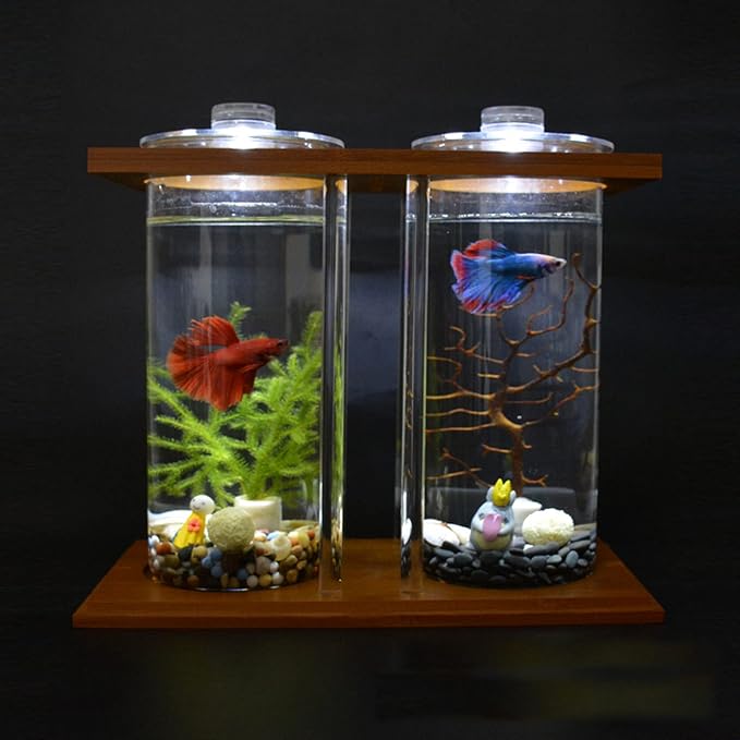 Creative Bamboo Wood Ecological Fish Tank Dual Glass Desktop Mini DIY Goldfish Betta Fish Tank Micro Landscape Tank Aquarium Small Fish Tank