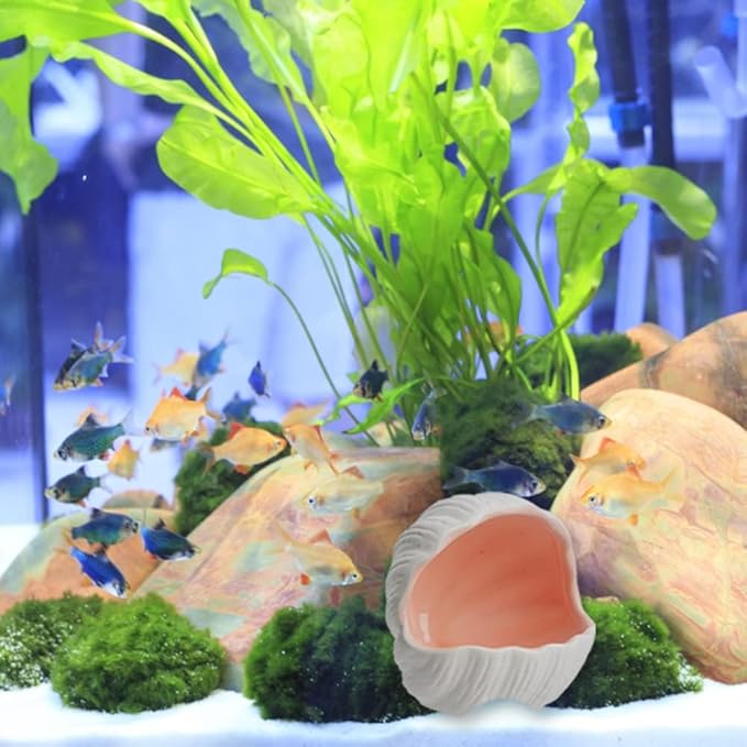 Ceramic Cave Shell Fish House - Small Animal Hideout for Hamsters, Gerbils, Chinchillas, Mice, Rats, and Syrian Hamsters - 5.1 inch(Pink M)