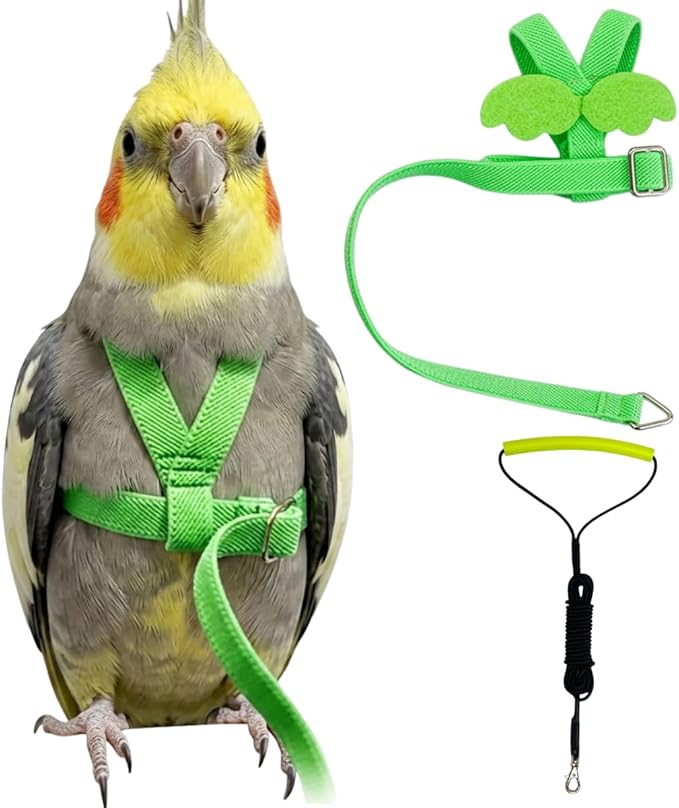 Adjustable Bird Harness with Elastic Leash, Pet Parrot Harness and Leash, Adjustable Training Design Anti-Bite, Bird Nylon Rope with Cute Wing for Conure (Green,2M)