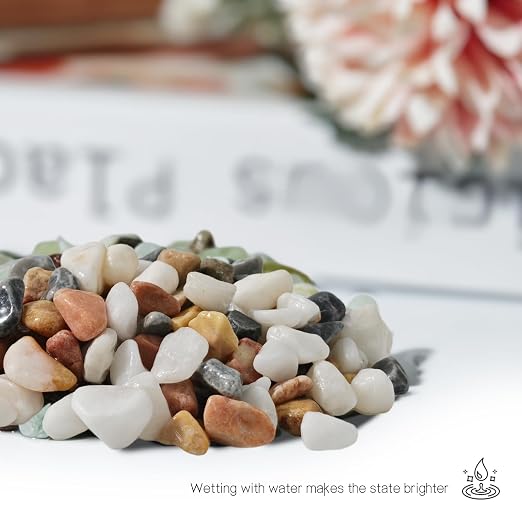 3Lb Pebbles for Succulents,River Rocks for Succulent Plants | Decorative Stones Bonsai Garden Pebbles,Succulent Rocks,Small Aquarium Rocks for Landscaping ,Plants,Vase Fillers