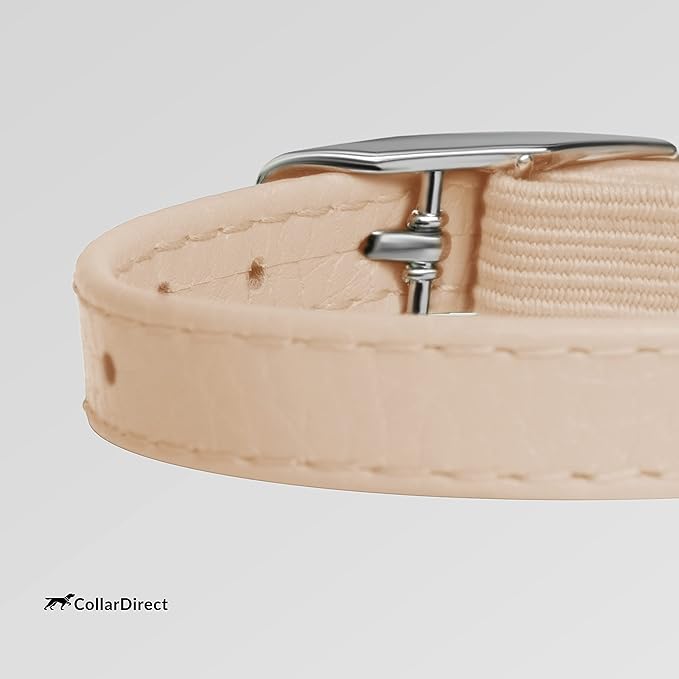 CollarDirect Leather Cat Collar with Removable Bell – Safety Elastic Strap (Breakaway Alternative) – Kitten Collar for Small & Big Boy & Girl Cats