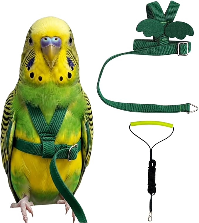 Adjustable Bird Harness with Elastic Leash, Pet Parrot Harness and Leash, Adjustable Training Design Anti-Bite, Bird Nylon Rope with Cute Wing for Conure (Deep Green,XS)
