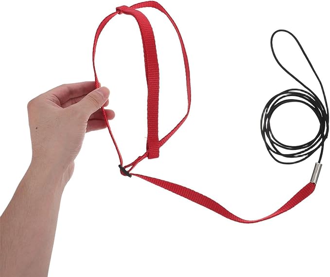 Bird Flight Harness Leash: Adjustable Parrot Flying Rope - Escape-Proof Harness for Pet Birds - Outdoor Training Strap for Parakeets and Small Parrots