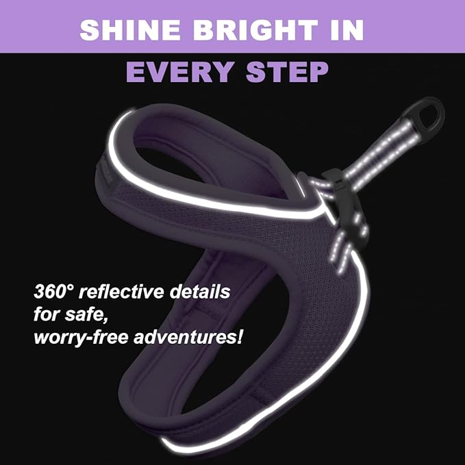Cat Harness and Leash Set,Escape Proof Kitten Harness,Step in Adjustable Soft Lightweight,Easy Control,Reflective Strips Comfortable for Walking Travel(Violet Purple,XXXS)