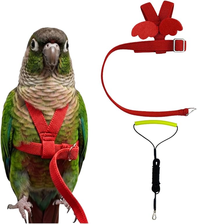 Adjustable Bird Harness with Elastic Leash, Pet Parrot Harness and Leash, Adjustable Training Design Anti-Bite, Bird Nylon Rope with Cute Wing for Conure (Red,M)