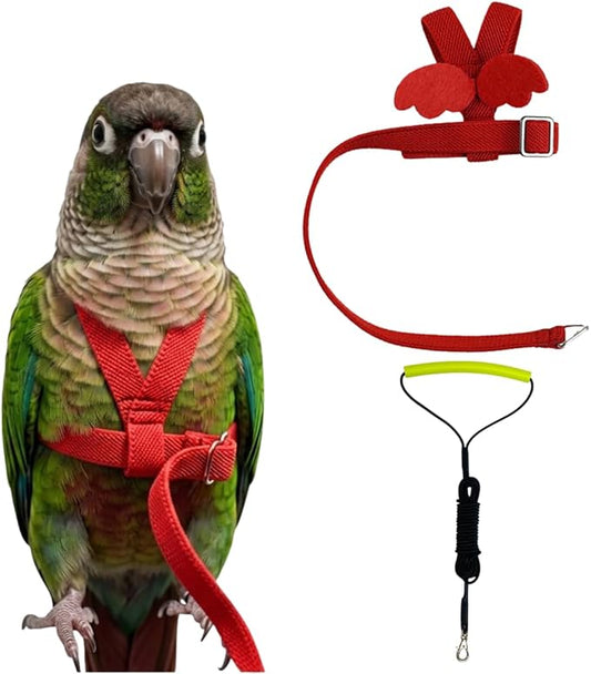 Adjustable Bird Harness with Elastic Leash, Pet Parrot Harness and Leash, Adjustable Training Design Anti-Bite, Bird Nylon Rope with Cute Wing for Conure (Red,M)