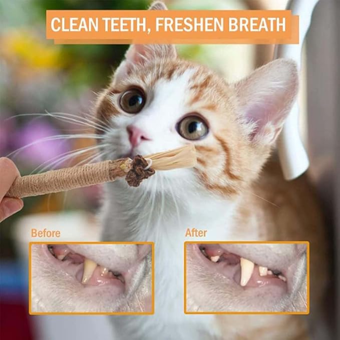 Natural Silvervine Dental Sticks, Silvervine Sticks for Cats, Natural Silvervines Stick Cat Chew Toy, Promote Dental Health, Engage & Entertain (5PCS)