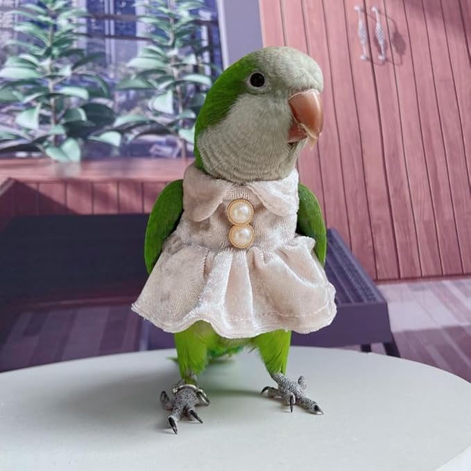 Bird Costume Bird Diaper Flight Suit Parrot Velvet Fleece Skirt Clothes Cosplay Photo Prop for Conure Lovebird Parakeet Cockatiel Macaw Small Animals Apparel (White,Macaw)