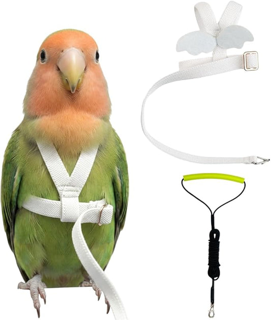 Adjustable Bird Harness with Elastic Leash, Pet Parrot Harness and Leash, Adjustable Training Design Anti-Bite, Bird Nylon Rope with Cute Wing for Conure (White,S)