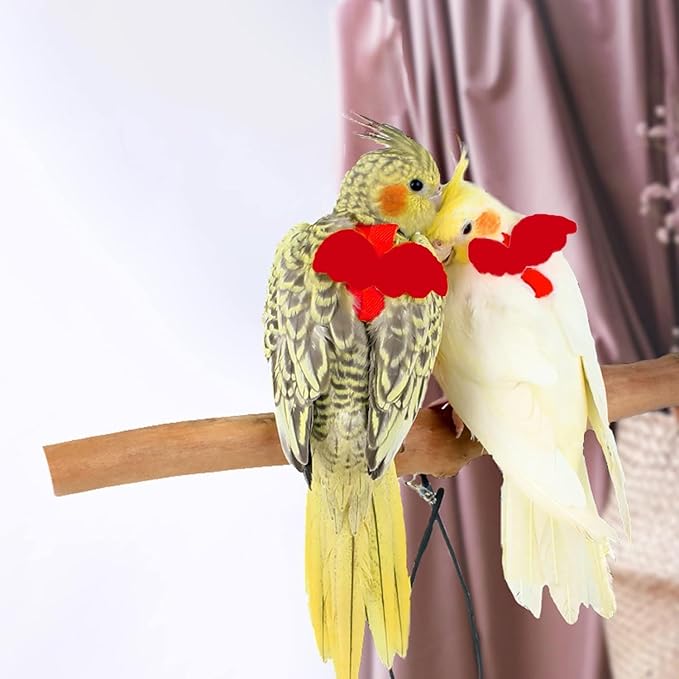 Birds Harness Leash Outdoor Flying Escape-Proof Adjustable Training Design Anti-Bite Bird Rope with Cute Wing for Parrots Scarlet Keck Mini Macaw Love Birds (Red)