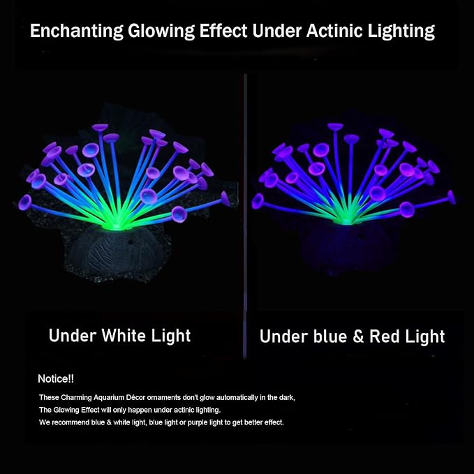 ZtohPyo Glowing Effect Soft Coral Aquarium Fish Tank Decorations Silicone Glow Artificial Ornament Coral Reef Plants for Aquarium Small/Large Fish Bowl Decor Accessories (Purple Trumpet-Shaped)