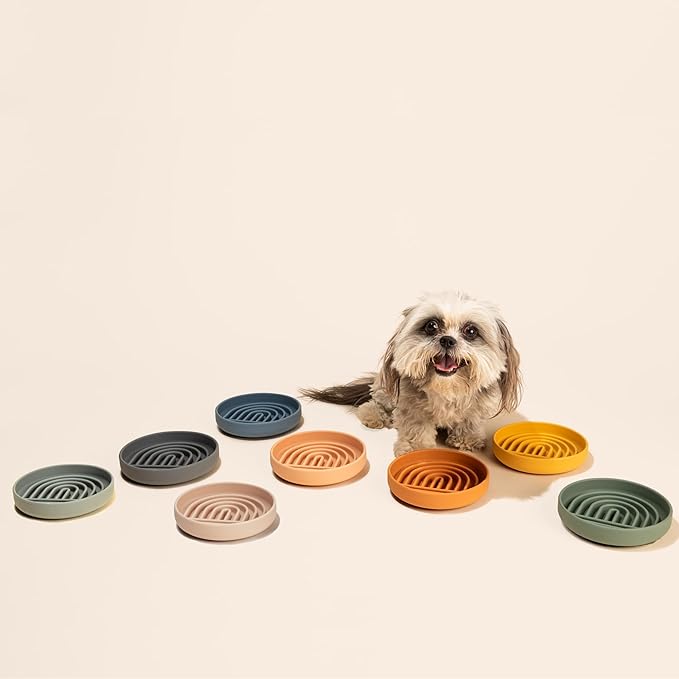 Should We Go? Slow Feeder for Dogs & Cats, The Slowdown Bowl Silicone Slow Eating Mealtime Solution with Modern Lick Mat Design, Reduces Gulping, Fits 1 Cup, 6” Across x 1.25” Tall, Small-Ocean