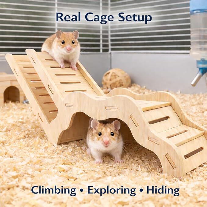 Large Size Syrian Hamster Explorer Set - Snap-Together Wooden Burrow with Panoramic Window,Natural Chew-Safe Design Decorative Landscaping Digging Peeping Hide Underground Fun for Cage Enrichment