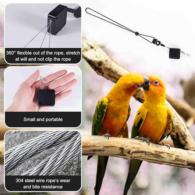 Retractable Bird Harness, 6.56ft Training Leash with 3 Sizes of Foot Rings - Parakeet & Parrot Leash Kit for Cockatiels, Budgies (Black)