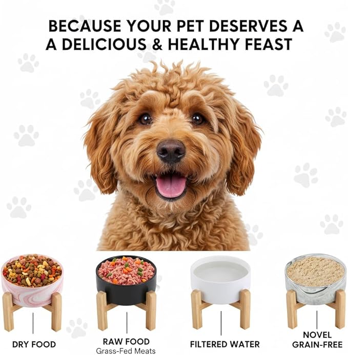 Elevated/Raised Ceramic Dog Bowl with Bamboo Stand，6 Inch 3.6 Cups Non Slip Heavy Weighted Single Pet Dish, for Small Medium Breed & Cats,Reduces Neck Strain Black