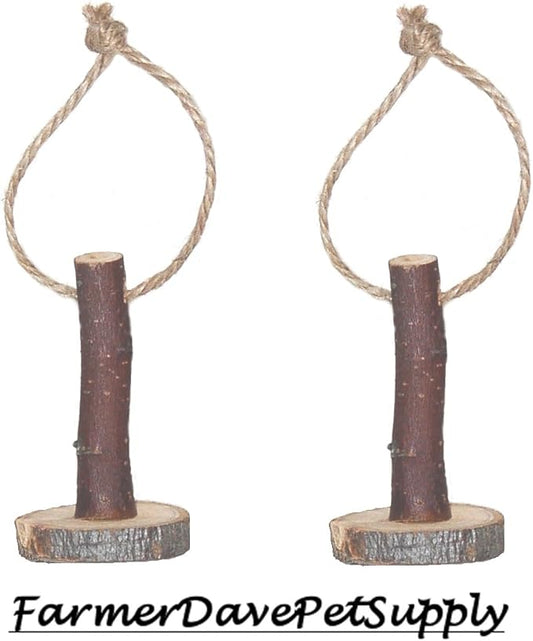 Joy Stick Apple Chew Toy for Small Animals - Dual Pack