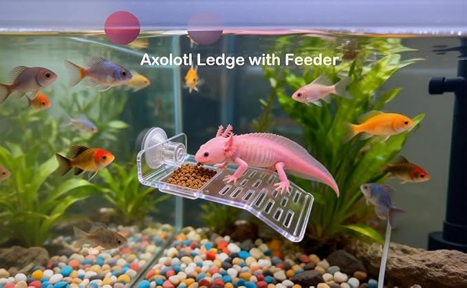 7 pcs Axolotl Hideout Set with Cave Fake Water Plants Filter Balls Reptile Hides Aquarium Terrarium Corner Hideaway Underground Curve Tortoise Turtle Hideout Lizard Fish Tank Decor Accessories