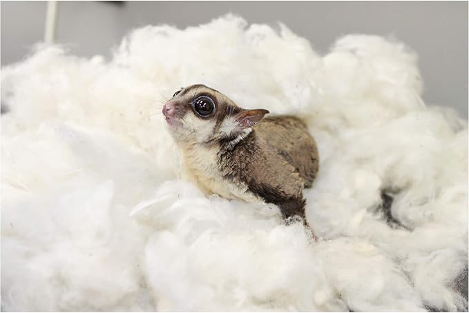 Exotic Nutrition All-Natural Nesting Material (4 oz.) - 100% Cotton Eco-Friendly Animal Bedding - for Sugar Gliders, Squirrels, Hamsters, Rabbits, Wild Birds & Wildlife
