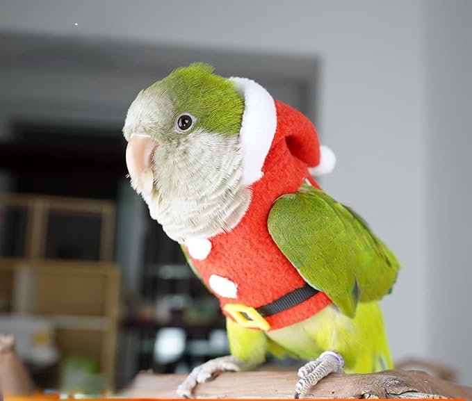 Bird Clothes Birds Flight Suit, Christmas Hoodie for Parrots Cockatiel Sun Conure Christmas Party Cosplay Photo Prop Bird Shirt Small Animals Apparel (Without Diaper,Cockatoo)