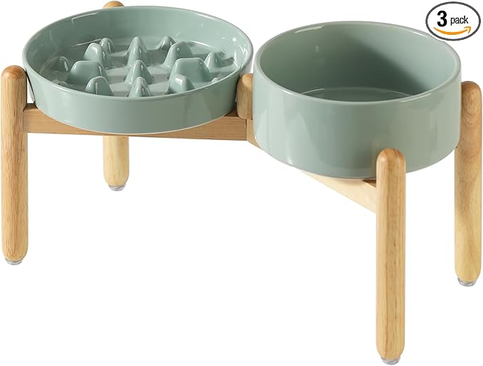 Havniva Ceramic Raised Slow Feeder Dog Bowl Set, Elevated 7.3inch Bowl and 8.2inch Slow Pet Food Dish with Wooden Stand for Medium and Large Dog (2 x Light Green+ Stand)