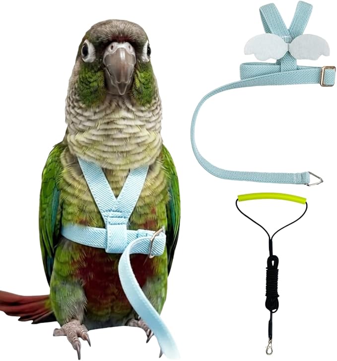 Adjustable Bird Harness with Elastic Leash, Pet Parrot Harness and Leash, Adjustable Training Design Anti-Bite, Bird Nylon Rope with Cute Wing for Conure (Light Blue,M)