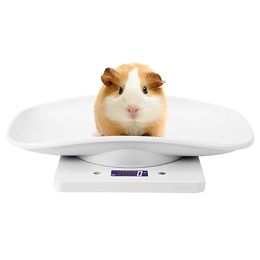 Digital Pet Scale, LCD Animal Scale, 0-22Pound High Accuracy Electronic Weighing Scale, Multifunctional Electronic Weighing Scale for Small Animals Hamster Birds Kittens (No Battery Included)