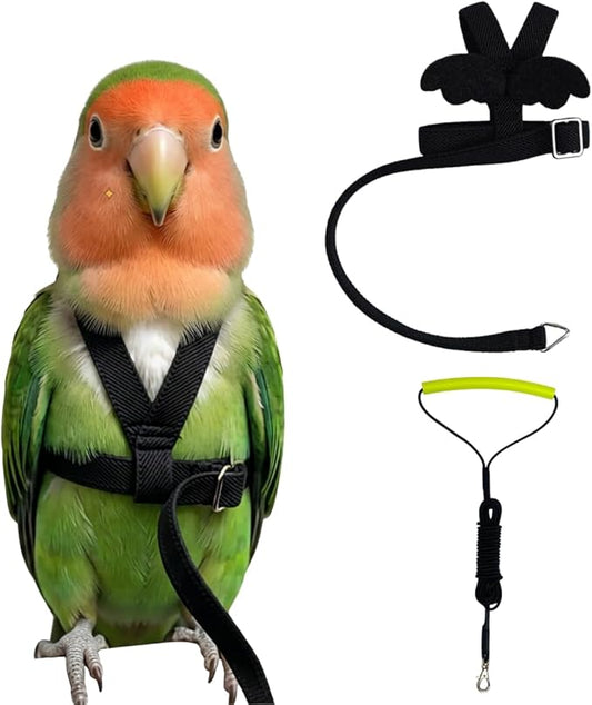Adjustable Bird Harness with Elastic Leash, Pet Parrot Harness and Leash, Adjustable Training Design Anti-Bite, Bird Nylon Rope with Cute Wing for Conure (Black,S)