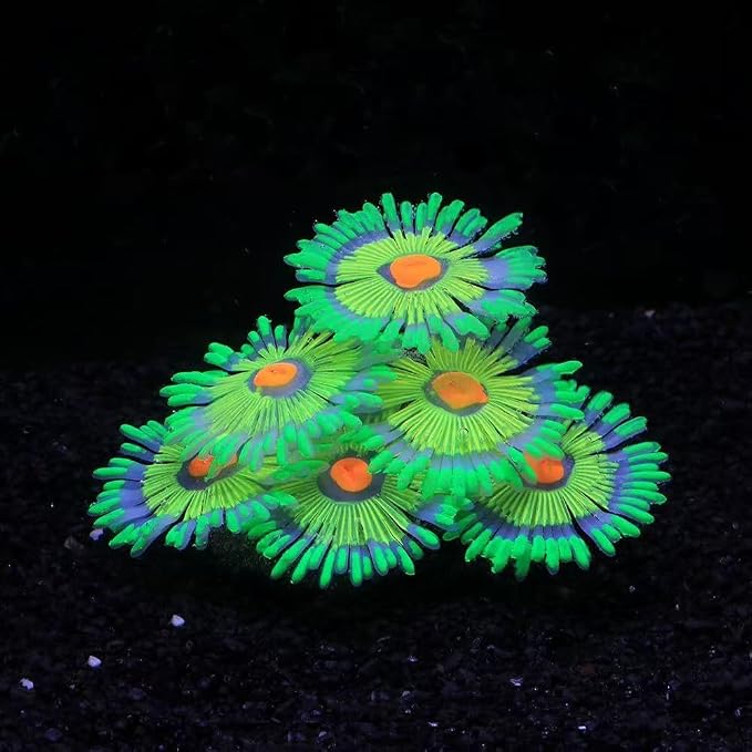 ZtohPyo Glowing Effect Fish Tank Aquarium Decorations, Artificial Silicone Plants Ornaments for Fish Tank Landscape Decor Glow in The Dark Soft Anemone for Small Fish Bowl Decor