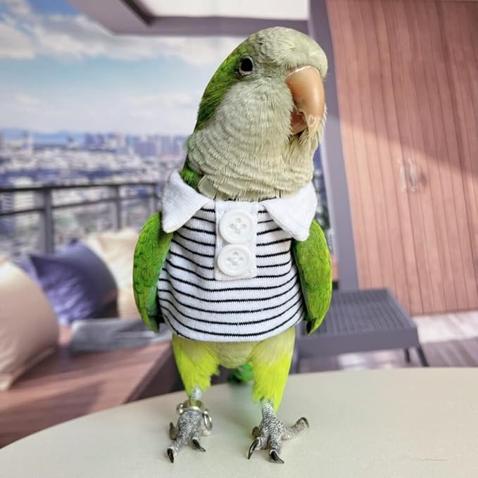 Bird Diaper Flight Suit for Parrots, Lovebirds, Parakeets & Cockatiels - Summer Clothes Cosplay Photo Prop - Green-cheeked Conure Size S (with Diaper)