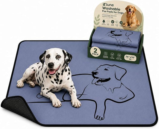 2 Pack Washable Pee Pads for Dogs 36"x36", Reusable Training Puppypads Absorbency Non-Slip & Leak-Proof for Pet Whelping Box Playpen Crate Sofa Bed Floors (Gray)