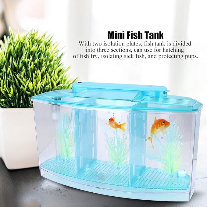 Aquarium Tank, Three Divisions LED Acrylic Fish Tank, Desktop Aquarium | Portable Fish Tank | Travel Fish Tank | Cool Fish Tank | Breeding Isolation Box Fishtank for Baby Fish