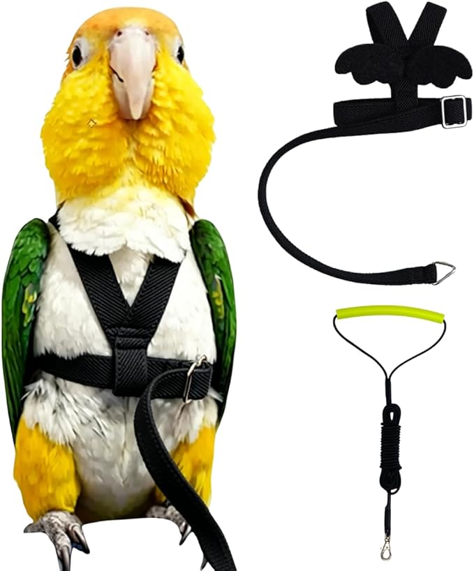 Adjustable Bird Harness with Elastic Leash, Pet Parrot Harness and Leash, Adjustable Training Design Anti-Bite, Bird Nylon Rope with Cute Wing for Conure (Black,XL)
