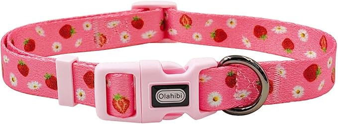 Dog Collar Leash Set, Floral Pattern, Polyester Material, Adjustable Collar and 5ft Matchcing Leash, for Small Dogs.(S, Daisy and Strawberry)