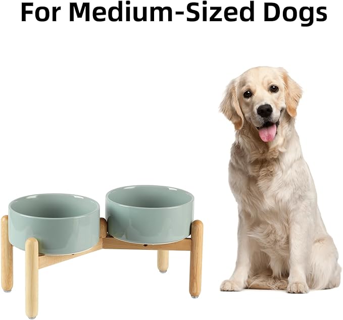 Havniva Ceramic 7.3inch Raised Double Bowls Set with Wooden Stand, Food & Water Bowls for Medium Breed Dogs, Weighted Dog Dishes, Pet Feeder(Light Green)