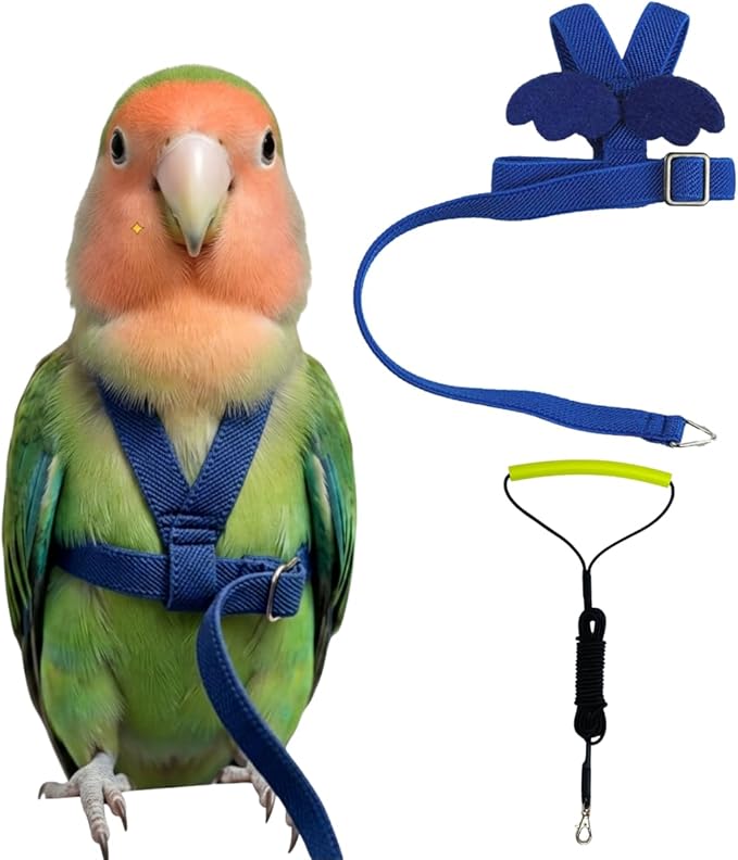 Adjustable Bird Harness with Elastic Leash, Pet Parrot Harness and Leash, Adjustable Training Design Anti-Bite, Bird Nylon Rope with Cute Wing for Conure (Deep Blue,S)