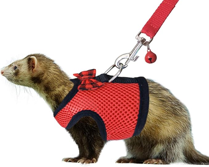 Rypet Small Animal Harness and Leash - Soft Mesh Pet Harness with Safe Bell, No Pull Comfort Padded Vest for Small Pet Red M