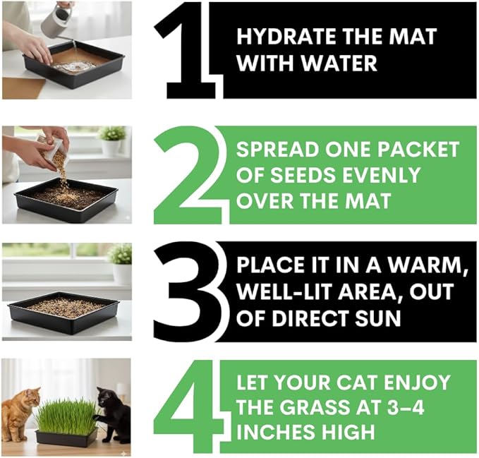 Cat Grass Growing Kit - Gift for Cat Owners & Pet Lovers - Organic Seed, Jute Grow Mats, 10 x 10 Container - Great for Indoor/Outdoor Pets - Pet Grass - Complete Set - No Tools Required