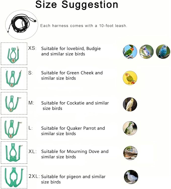 Adjustable Bird Harness & Leash Set for Small Birds,FitsBudgie,Parakeets, Conures, Cockatiels,Green Cheek,Quaker Parrots(Green, XL) Z6350-13