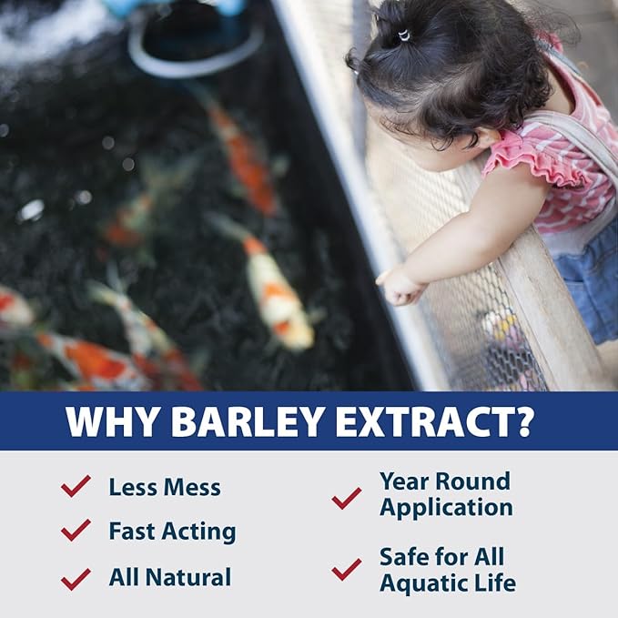The Pond Guy Barley Extract Natural Liquid Treatment for Ponds and Water Gardens, Safe for Koi Fish and Plants, Natural Solutions for Clear Pond Water - 32 Ounces