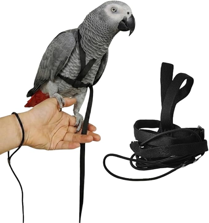 Adjustable Bird Harness and Leash for Parrots Outdoor Flight Training Anti-Bite Light Weight Easy-to-Wear Bird Vest with 59 Inch Elastic Leash for Quaker Conure African Grey Macaw Cockatoo (M)