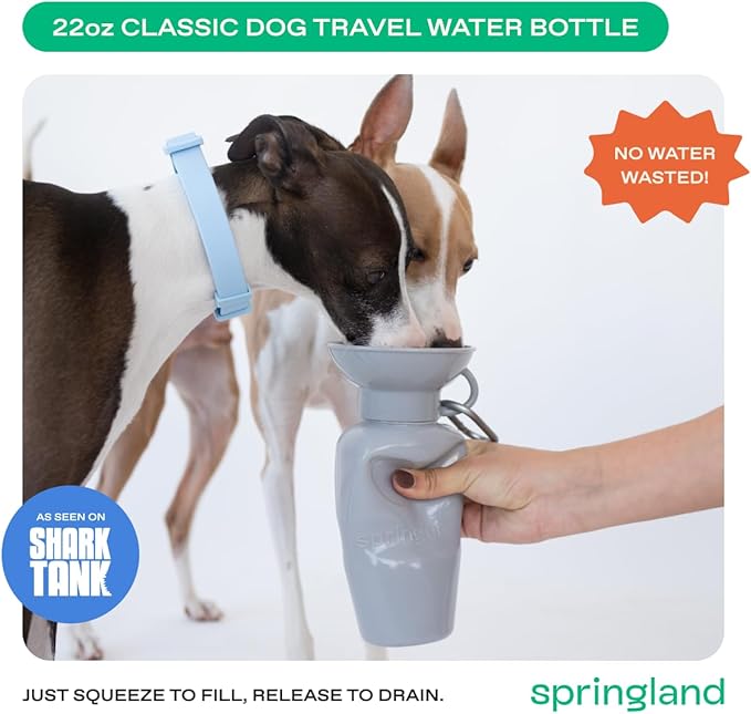 Springer Dog Water Bottle | Portable Travel Drinking Feeder Dispenser for Dogs & Puppies | As Seen on Shark Tank | Leak-Proof Bowl | BPA-Free | Outdoor Walking, Hiking & Travel | 22oz Gray
