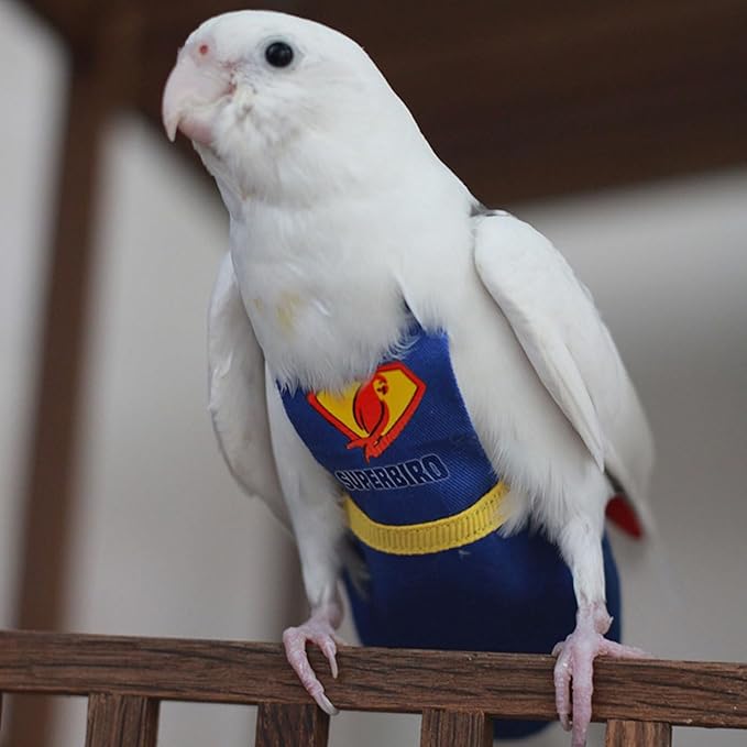 Parrot Flight Suit Diaper (Without Leash) - Reusable Bird Diaper for Budgies, Lovebirds, Cockatiels, and More - Fabric Bird Suit (Blue Superman-S)