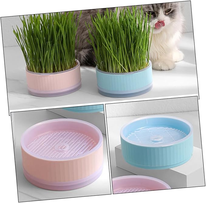 BESPORTBLE 2pcs Hydroponic Cat Grass Planter Soilless Household Planting Box with Design Convenient Growing Kit for Indoor Use Blue Pink