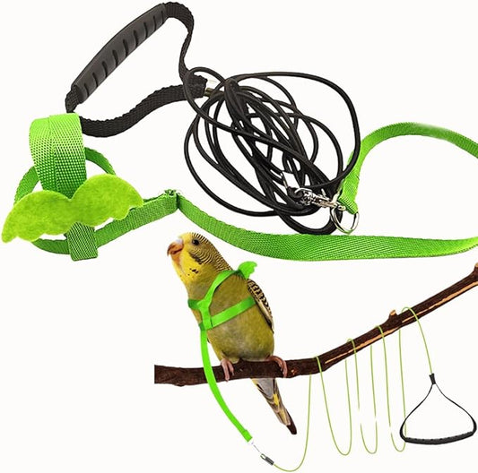 Pet Parrot Bird Harness and Leash, Adjustable Training Design Anti-Bite, Bird Nylon Rope with Cute Wing for Parrots, Suitable for Macaw Cockatoo Cockatiel Lovebird Conure African Grey (Green,L)