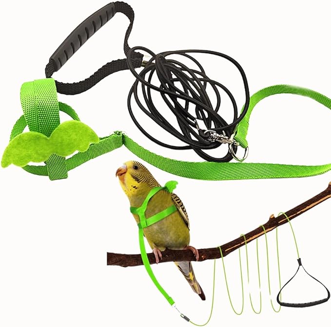 Pet Parrot Bird Harness and Leash, Adjustable Training Design Anti-Bite, Bird Nylon Rope with Cute Wing for Parrots, Suitable for Macaw Cockatoo Cockatiel Lovebird Conure African Grey (Green,M)