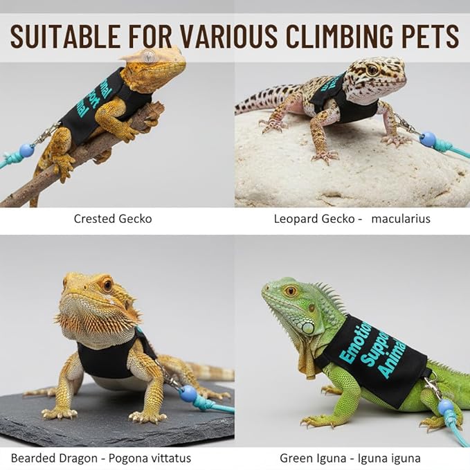 2 Pack Bearded Dragon Clothes Harness Set – Handmade Reptile Harness & Costume, Perfect for Outdoor Walking, Training, Guinea Pig & Lizard Apparel, Christmas Outfit & Photo Prop(Blue,Pink)