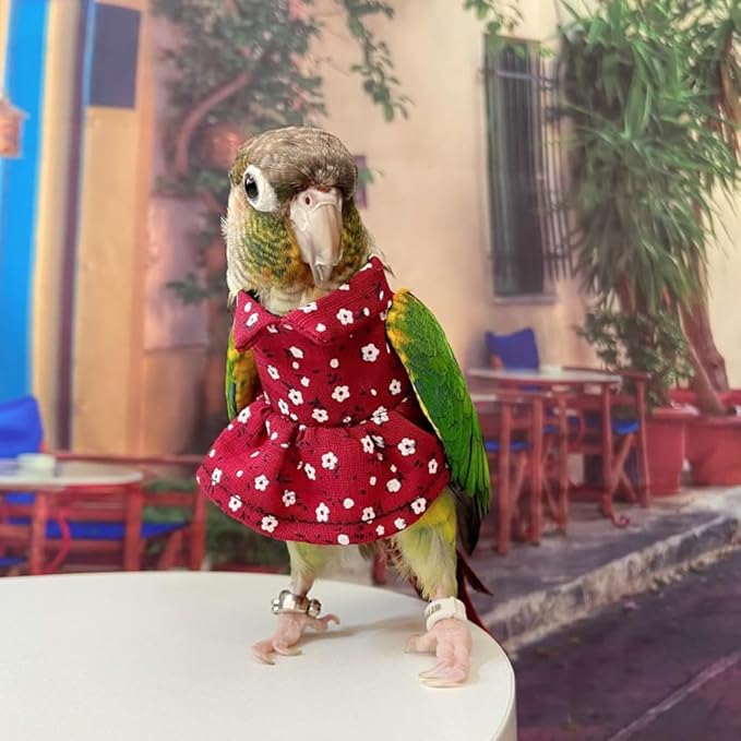 Bird Costume Bird Diaper Flight Suit Vintage Floral Dress Summer Skirt Clothes Cosplay Photo Prop for Parrots Lovebird Parakeet Cockatiel Small Animals Apparel (Green Cheek Conure)