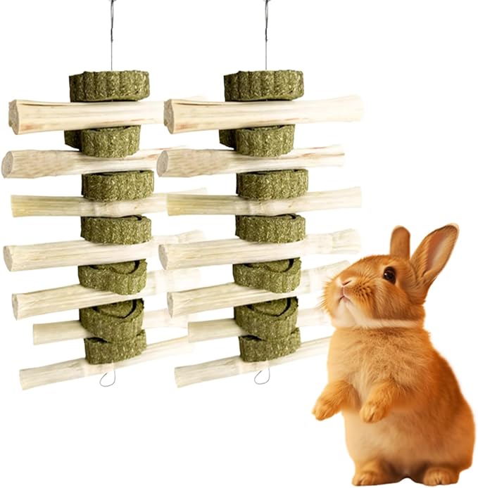 MANON ROSA 2 Pcs Natural Bunny Chew Toys for Dental Health - Apple Wood Bamboo Timothy Grass Sticks Grinding Treats for Rabbits Guinea Pigs Chinchillas Hamsters (Sweet Bamboo)