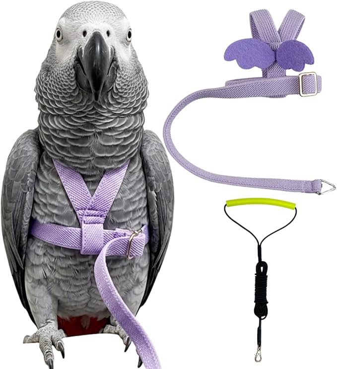 Adjustable Bird Harness with Elastic Leash, Pet Parrot Harness and Leash, Adjustable Training Design Anti-Bite, Bird Nylon Rope with Cute Wing for Conure (Purple,XXL)