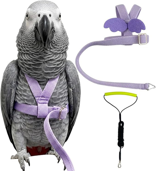 Adjustable Bird Harness with Elastic Leash, Pet Parrot Harness and Leash, Adjustable Training Design Anti-Bite, Bird Nylon Rope with Cute Wing for Conure (Purple,XXL)